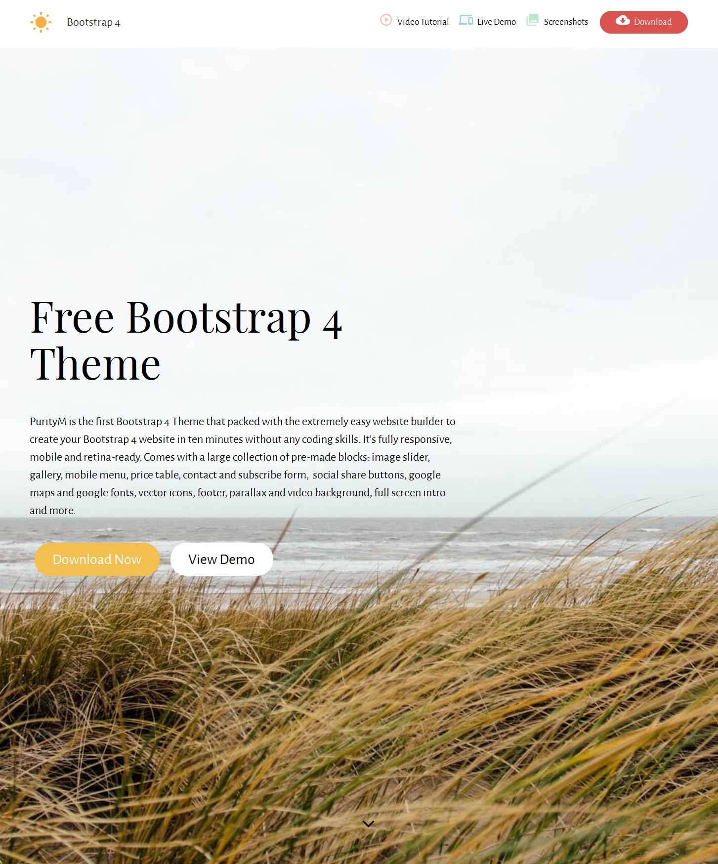 HTML5 Bootstrap Video Theme